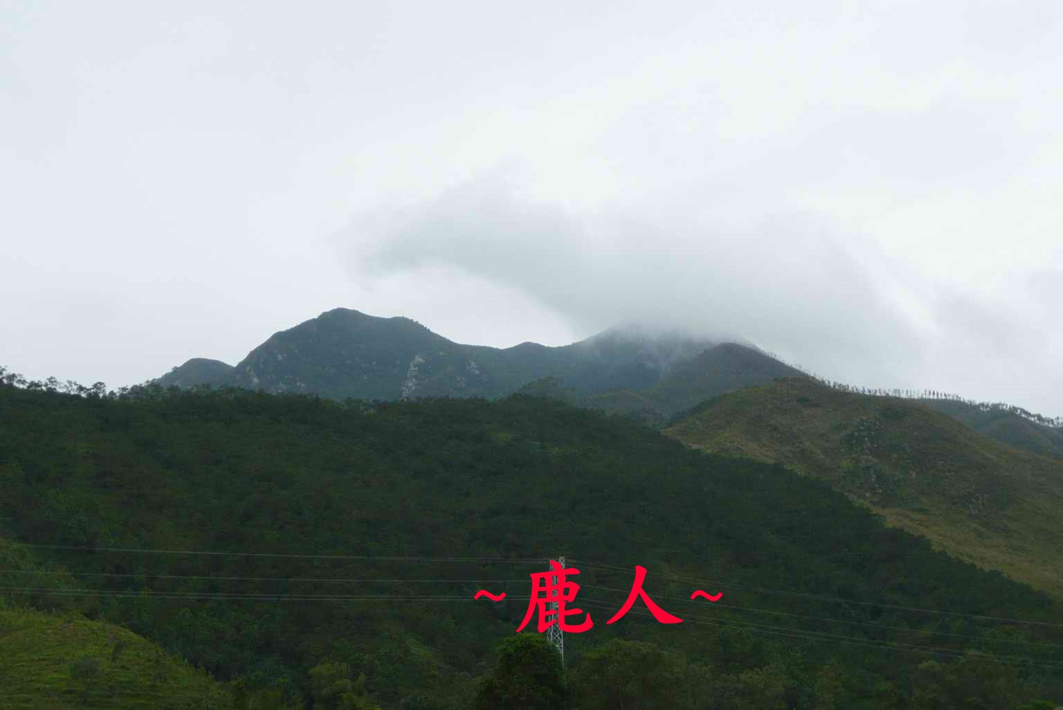 牛呀_3.JPG