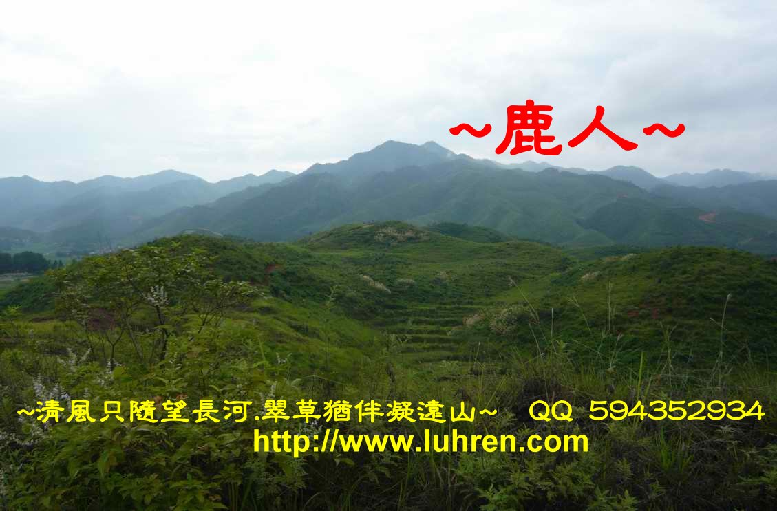 出將_案上遠看穴山(5).JPG