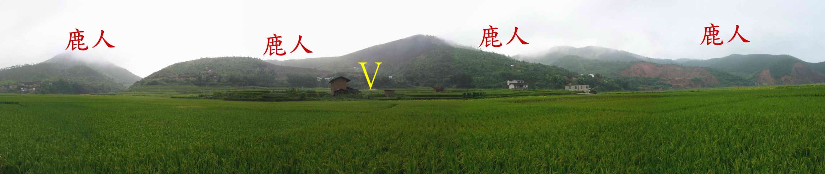 李氏始祖墓之2_遠看山巒照.jpg