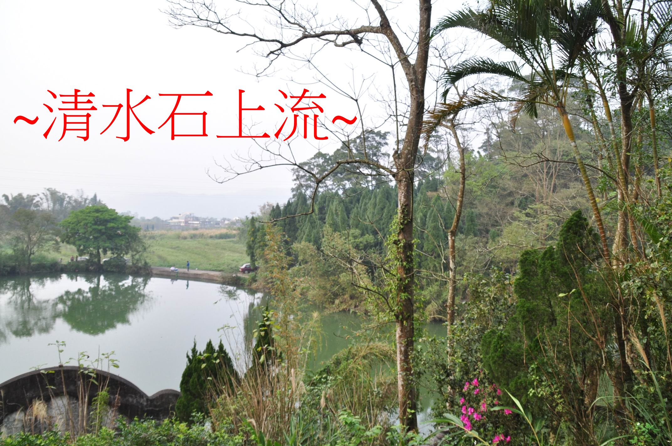 右虎.jpg