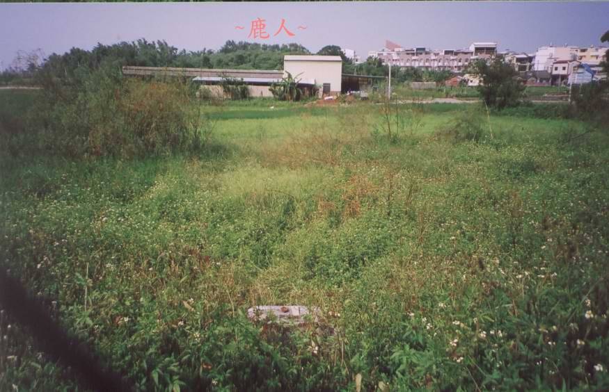 平洋穴(十三)_5.jpg