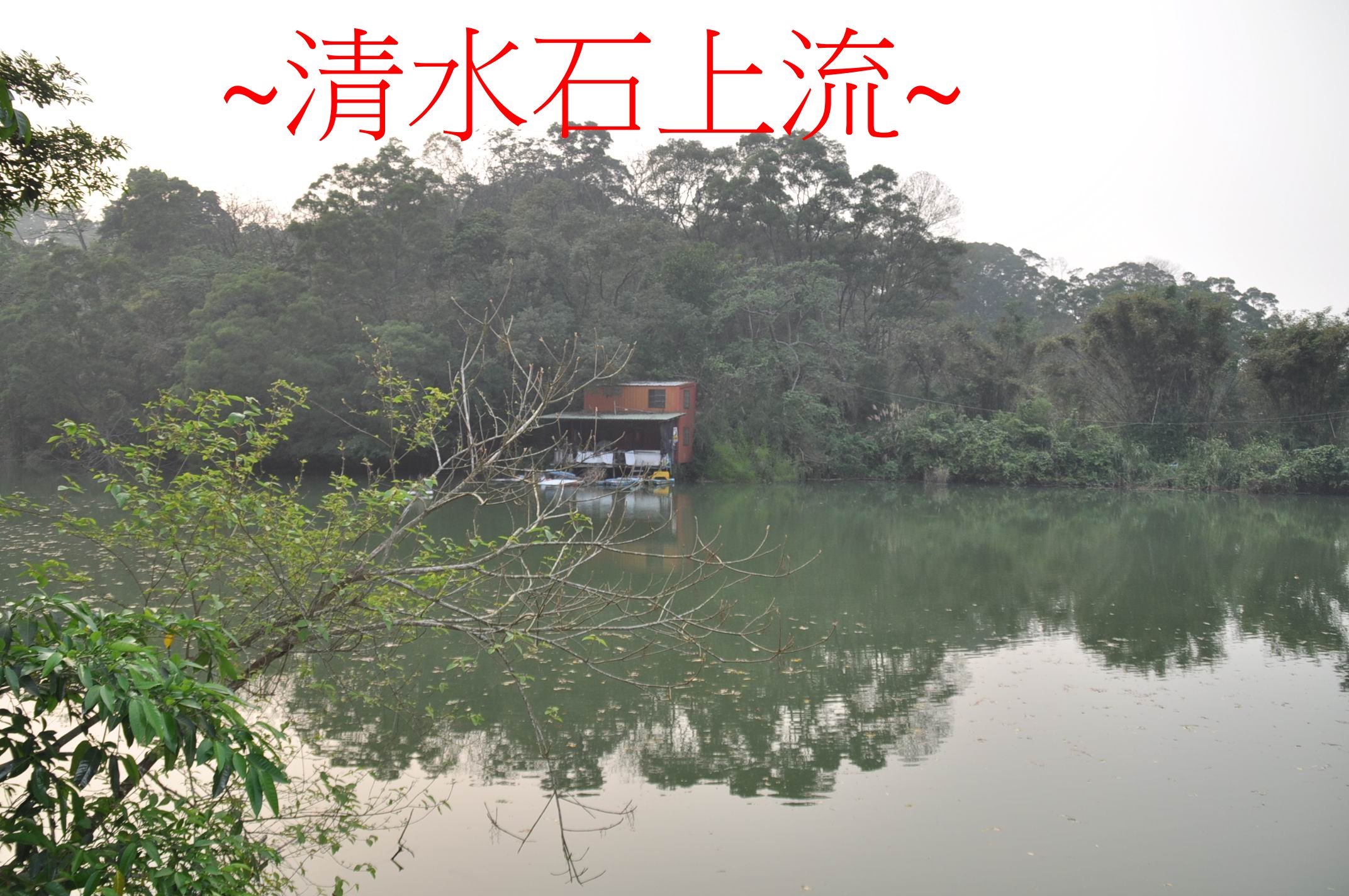 左龍砂.jpg
