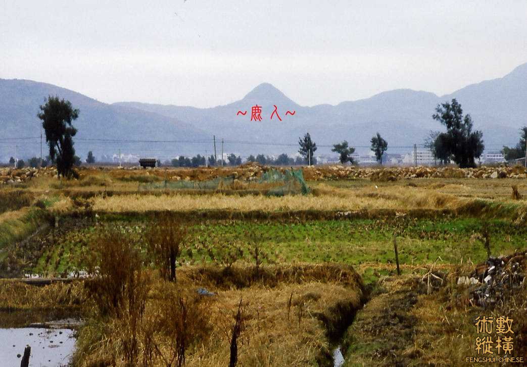 正看特朝.jpg