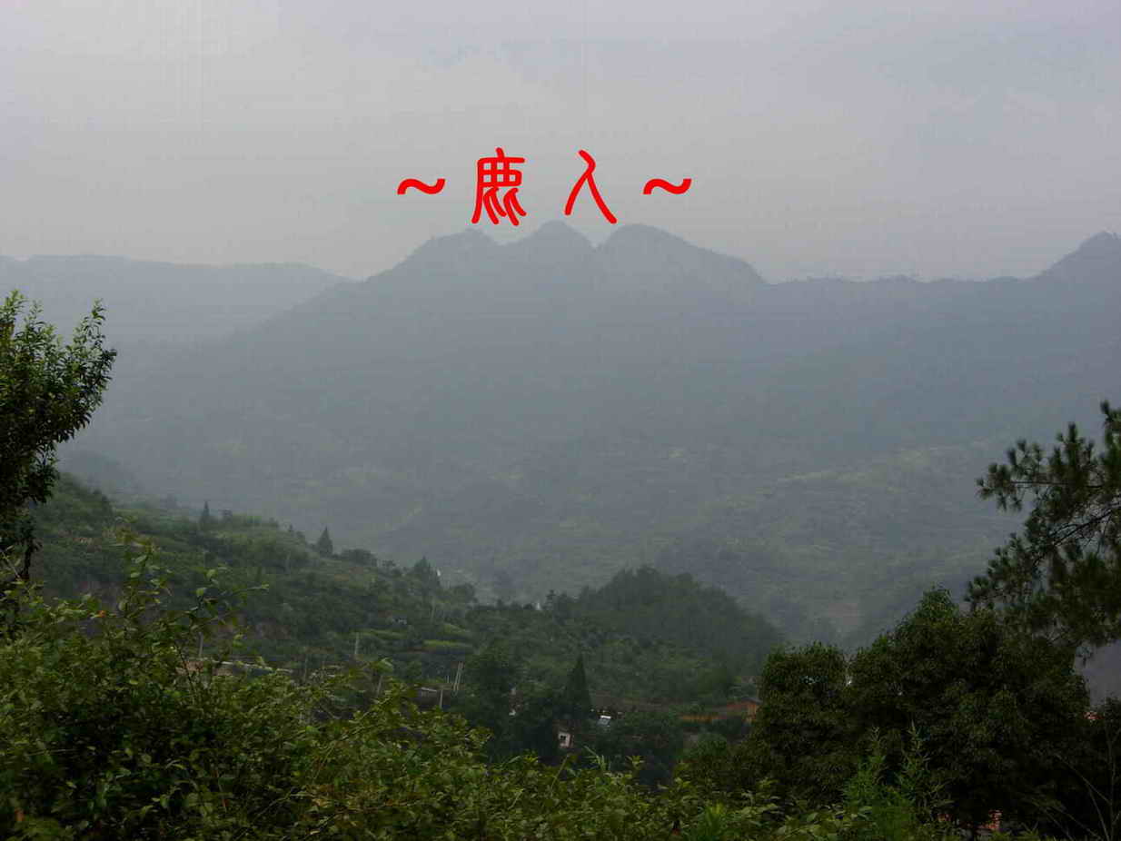 正看三台.JPG