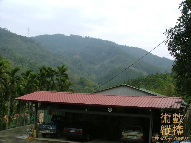 正面看中心抽脈.jpg