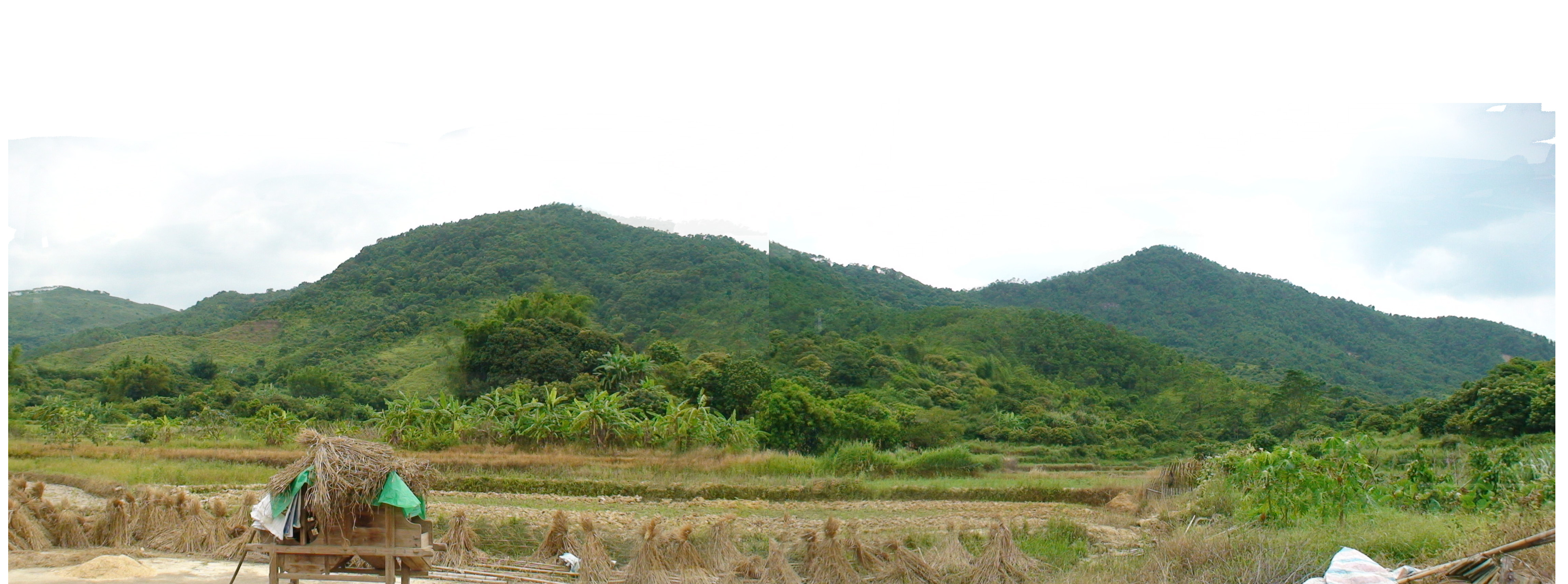 未标题-1.jpg