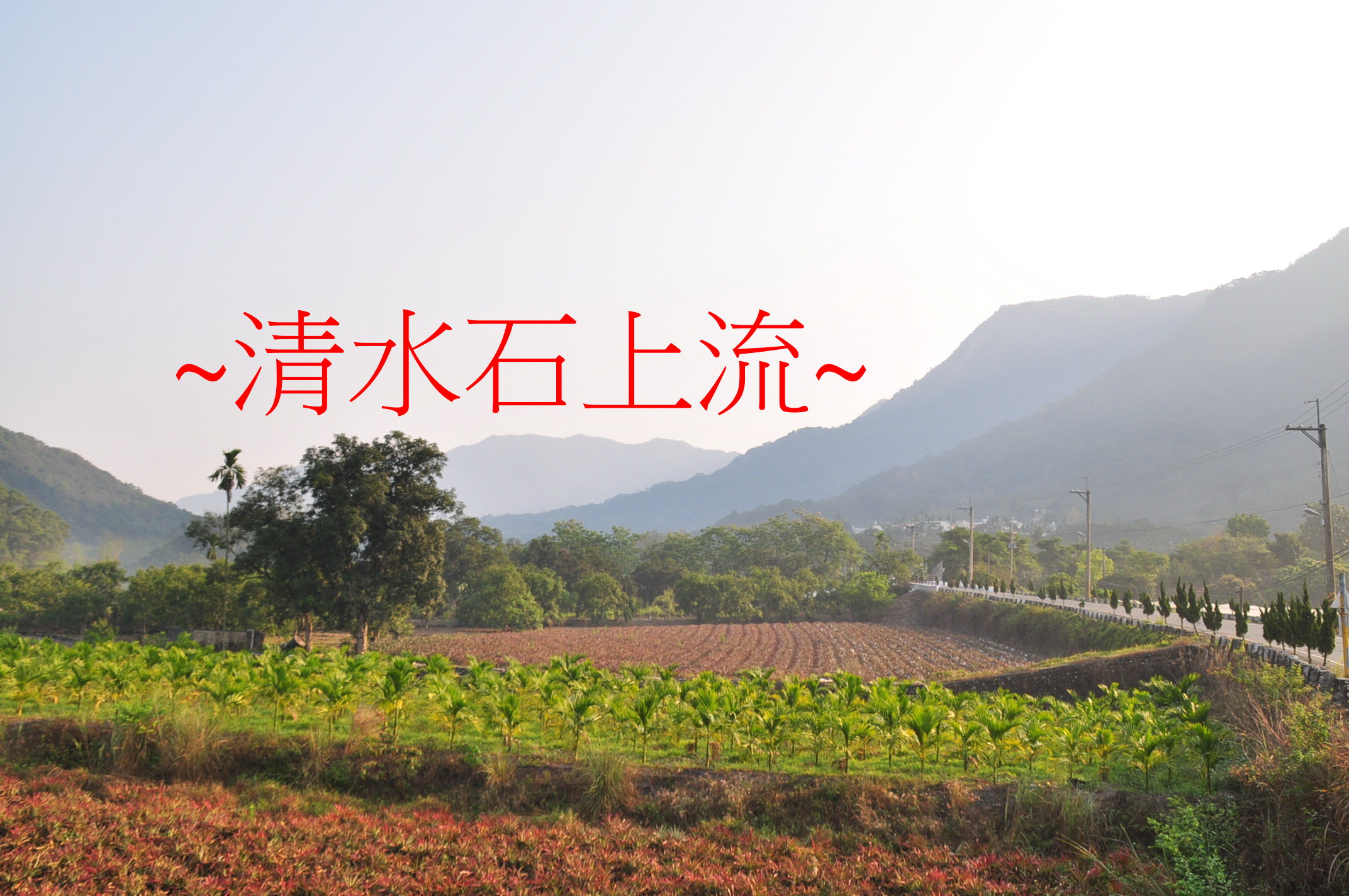 瓜瓞.jpg