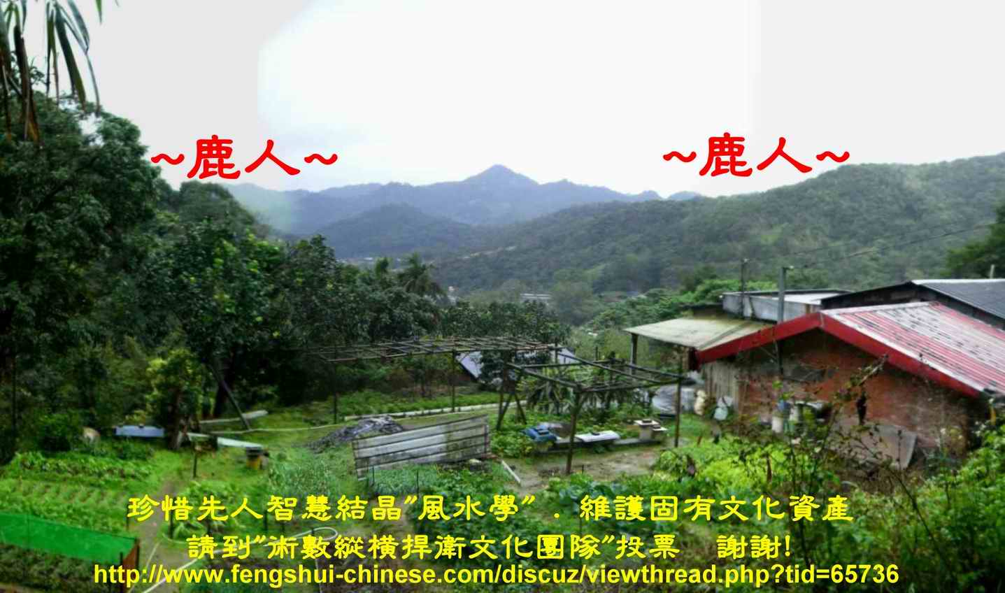 穴857_朝堂.JPG