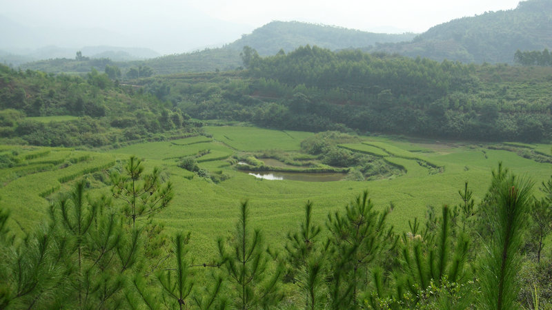 穴后照.JPG