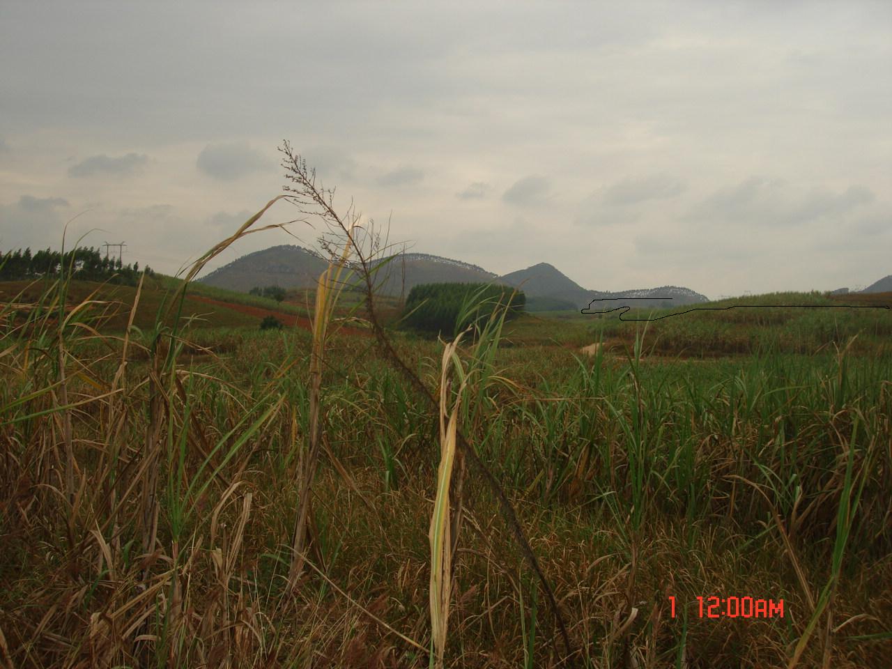 穴星上照来龙及左1.JPG