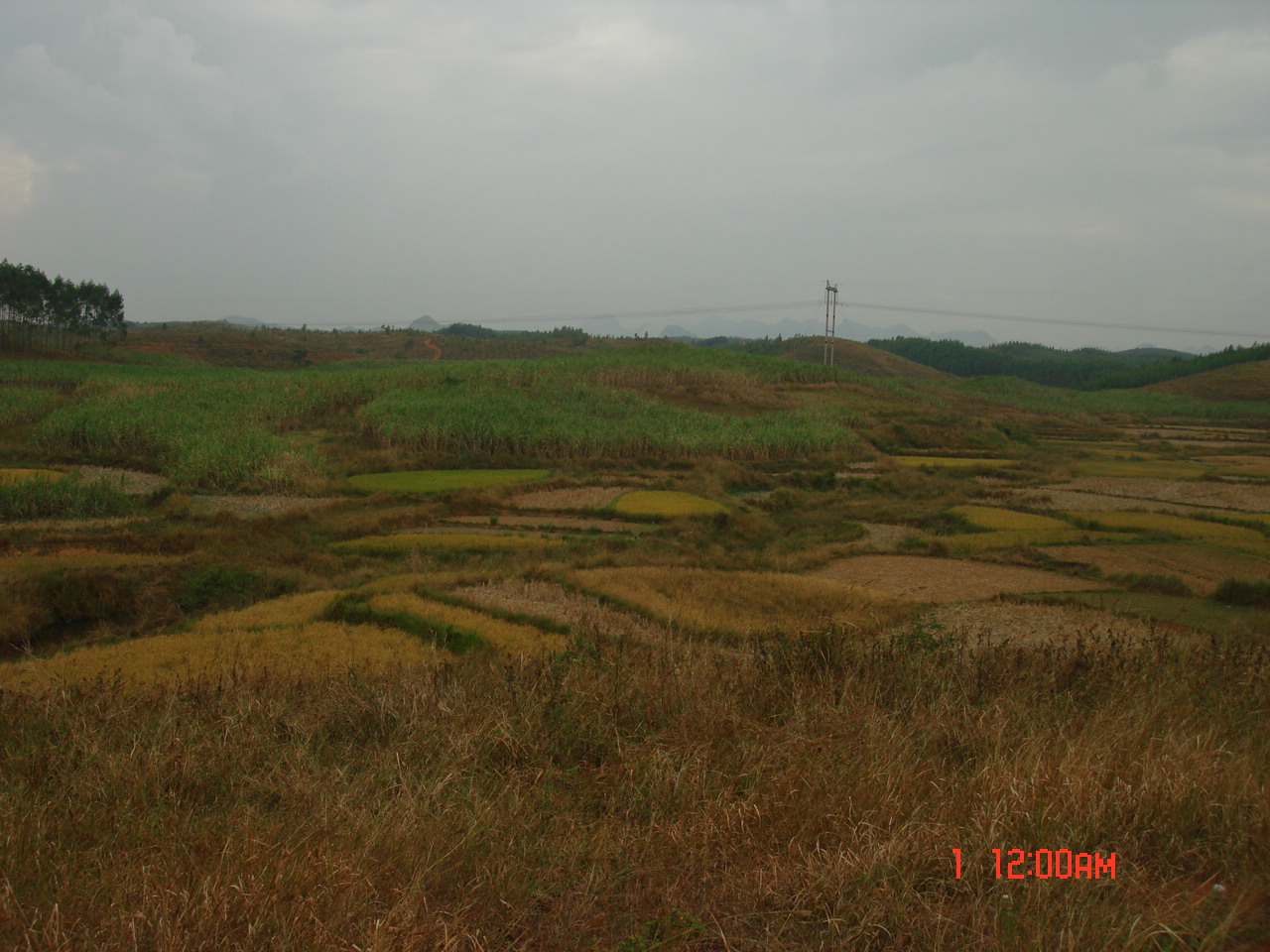 穴星右后1.JPG
