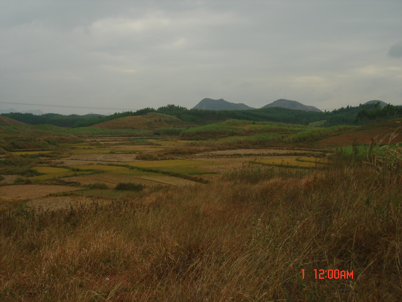 穴星右后2.JPG