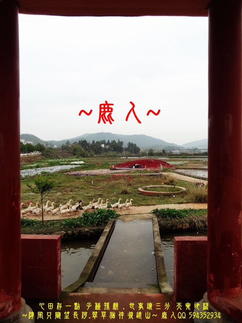 田雞浮塘_01.JPG