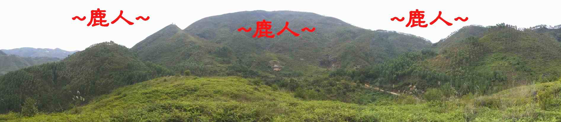 由穴星後看父母山開帳來龍全照.JPG