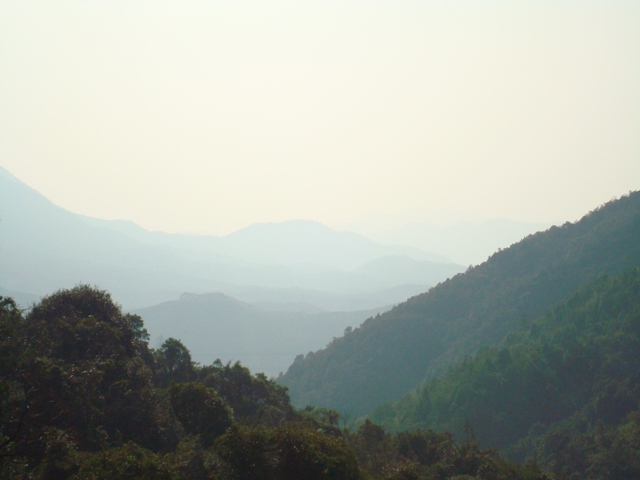 白虎1.jpg