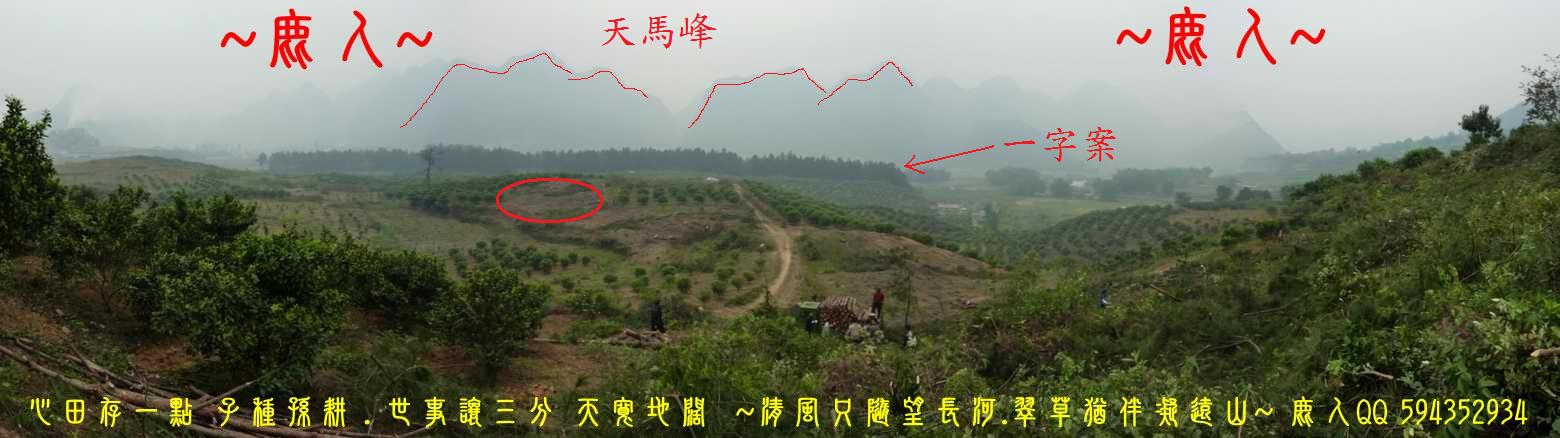 石山叢