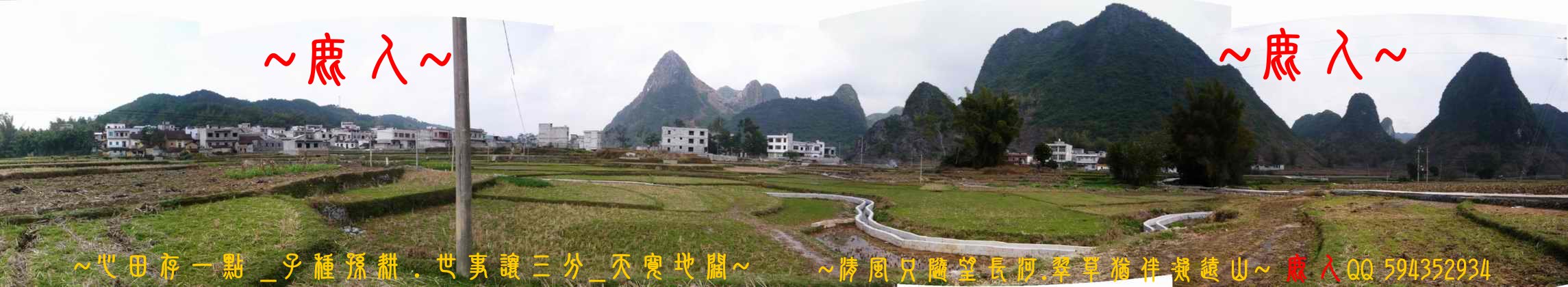 石山叢林一黃金堆_01.JPG