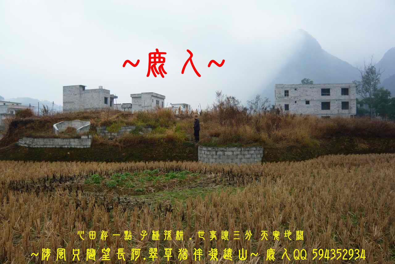 石山叢林一黃金堆_04.JPG