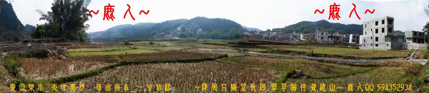 石山叢林一黃金堆_02.JPG