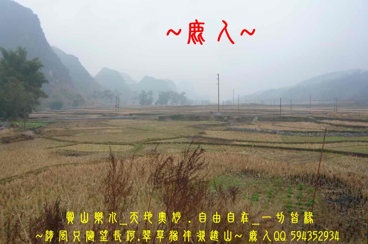 石山叢林一黃金堆_05.JPG