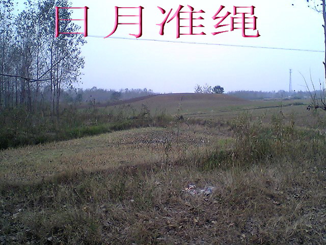 picture00022.jpg