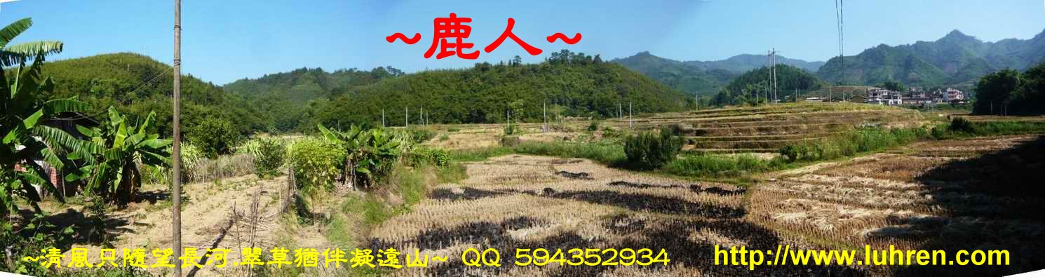 再見一條龍_01.JPG