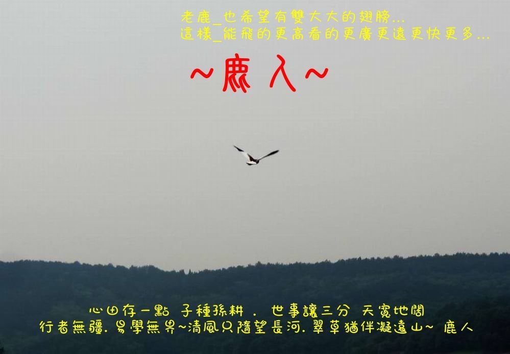 回頭望_湘帥_01.JPG