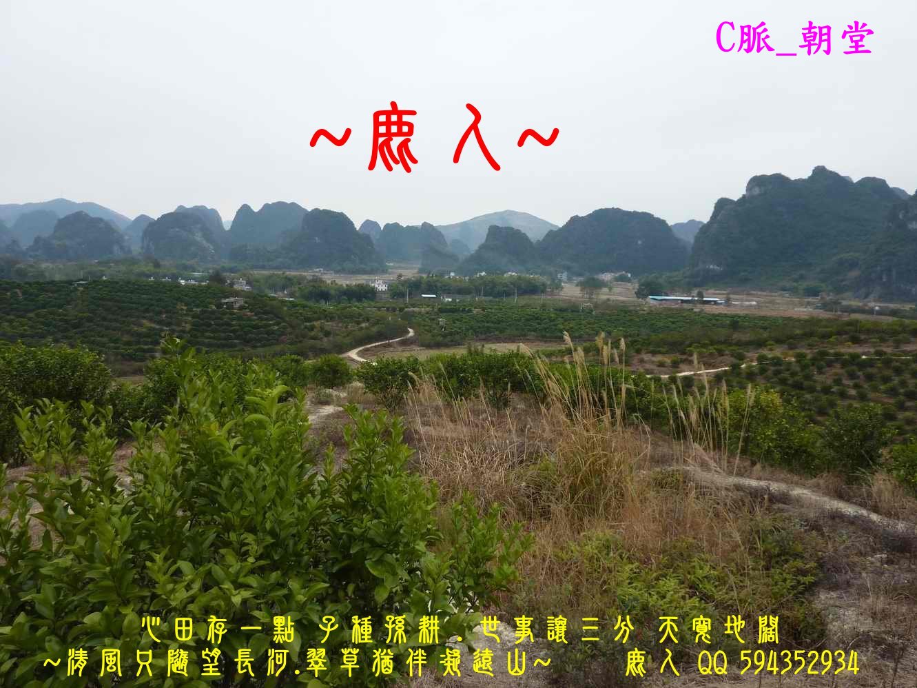 回頭選擇_C_朝堂.JPG