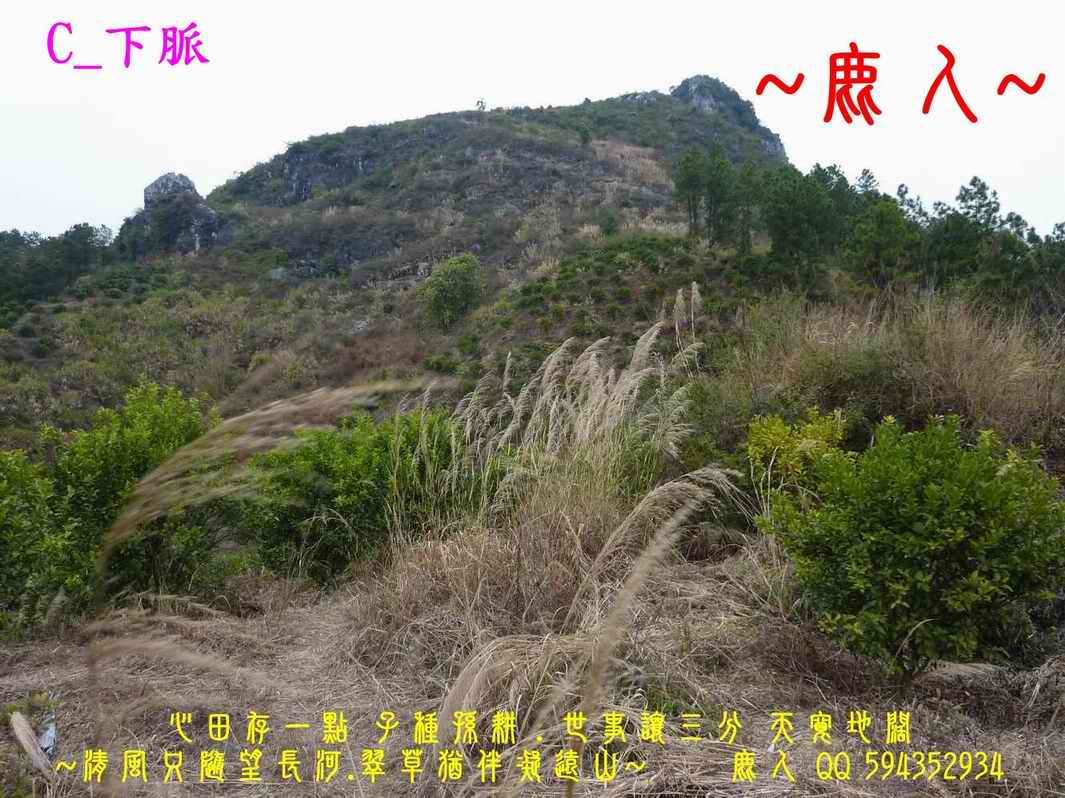 回頭選擇_C_下脈.JPG