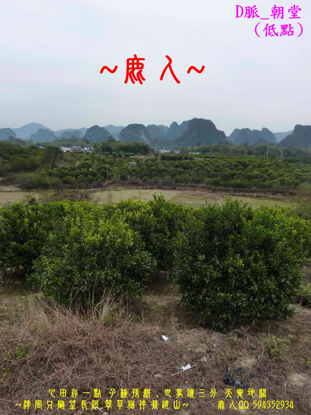 回頭選擇_D_低點朝堂.JPG