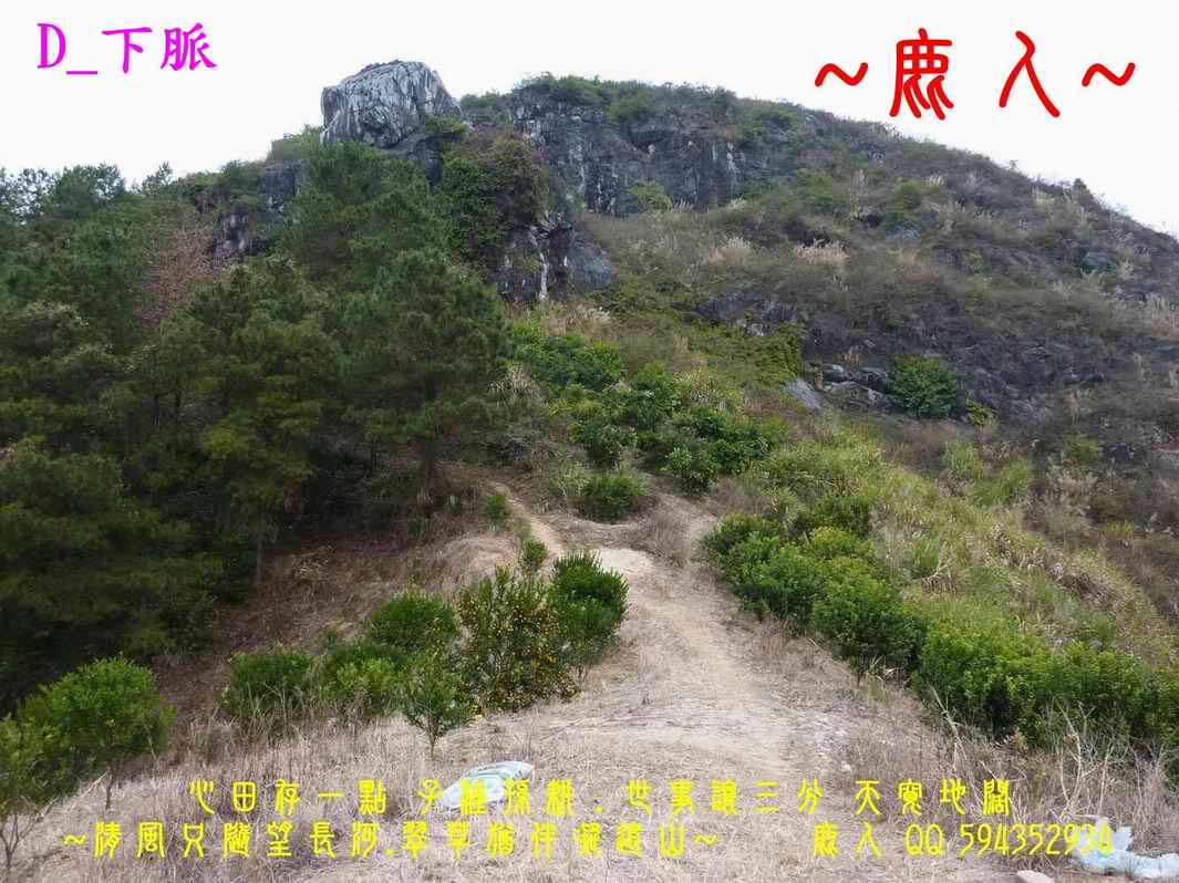 回頭選擇_D_下脈.JPG