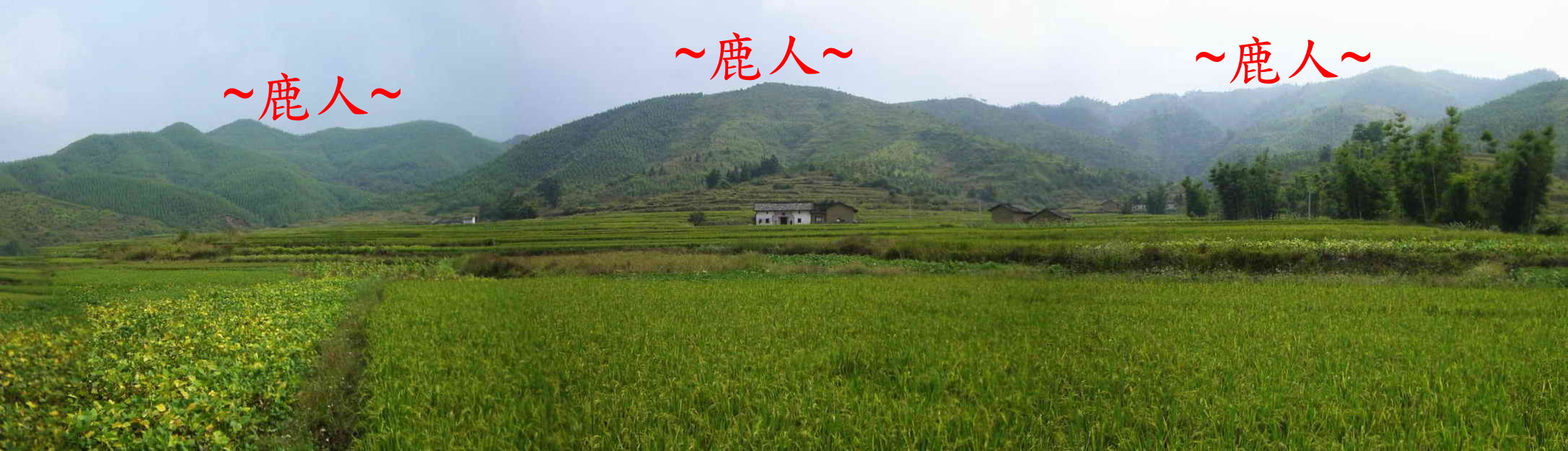 好寧靜_1358.JPG