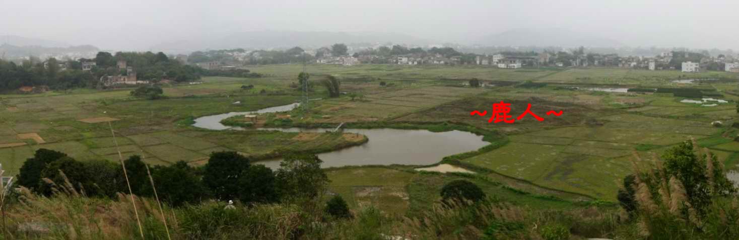 好水549.JPG