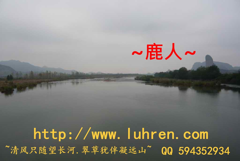 屹立不搖_100.JPG
