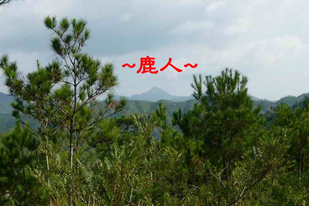 有此朝案_388.JPG