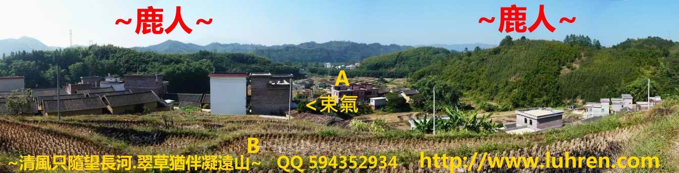 老鹿25_02.jpg