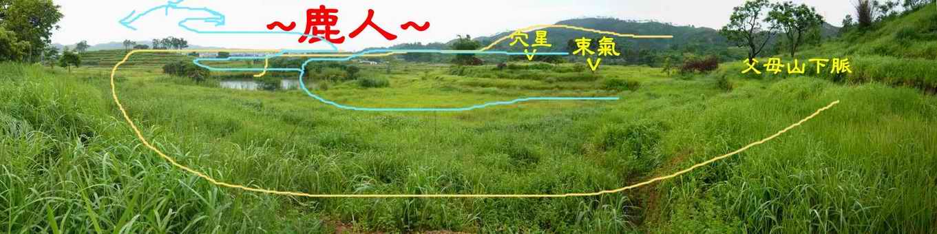 老鹿千里尋真跡(二)_4_1.JPG