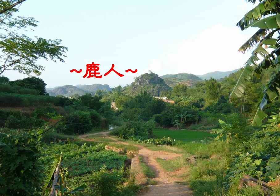 老鹿千里尋真跡(一)_7.JPG