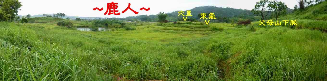 老鹿千里尋真跡(二)_4.JPG