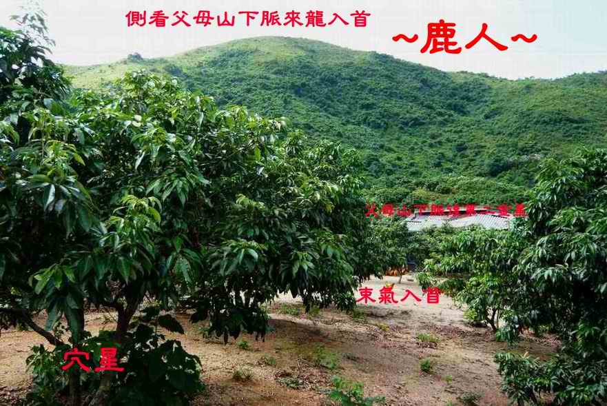 老鹿千里尋真跡(三)_9_1.JPG