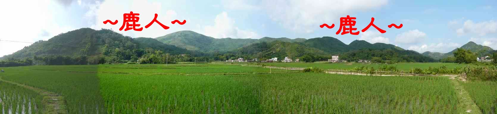 老鹿千里尋真跡(三)_6.JPG