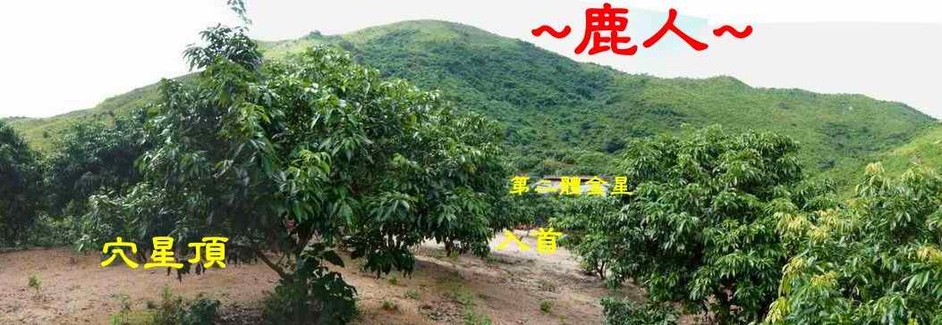 老鹿千里尋真跡(三)_9.JPG