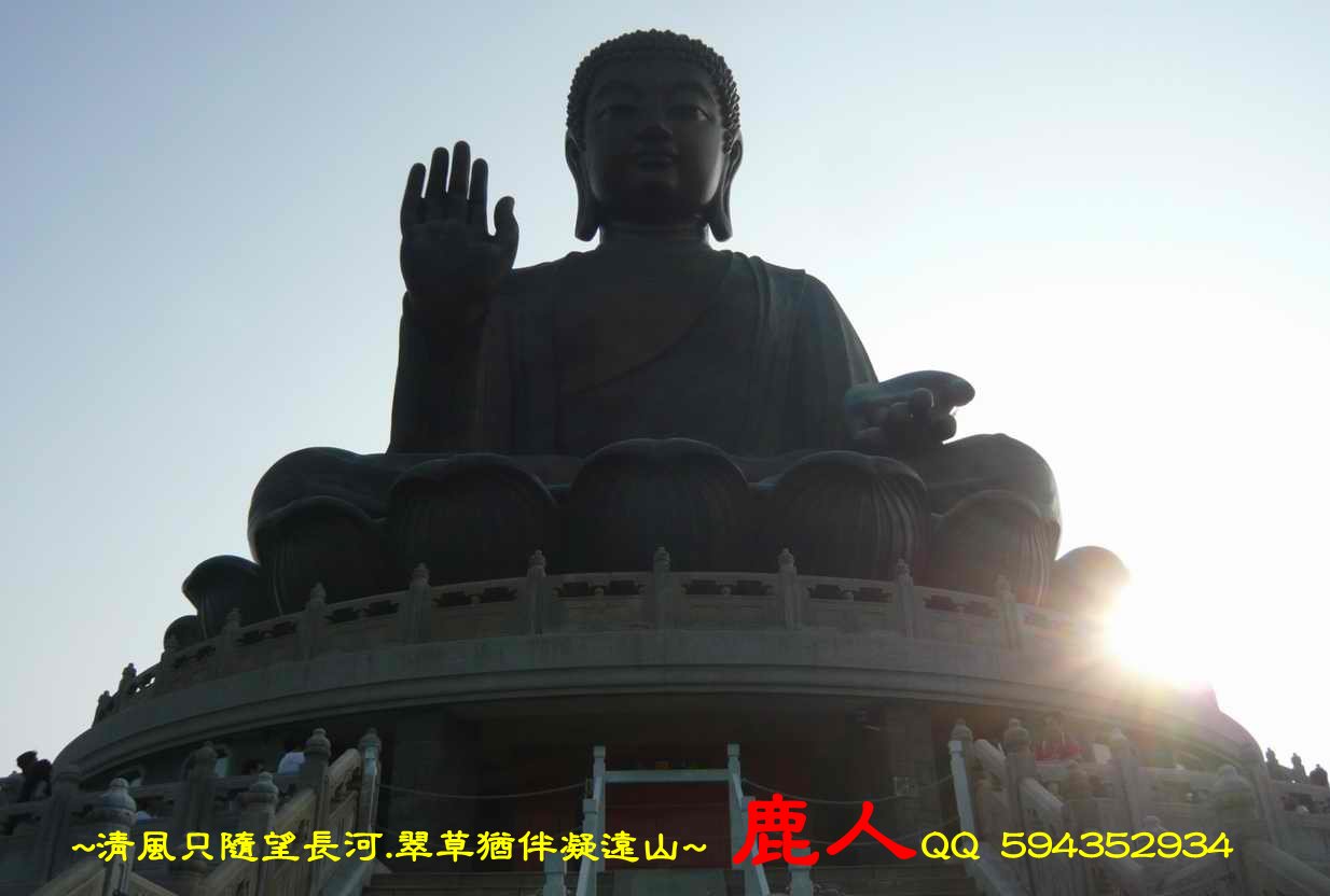 佛向_1.JPG