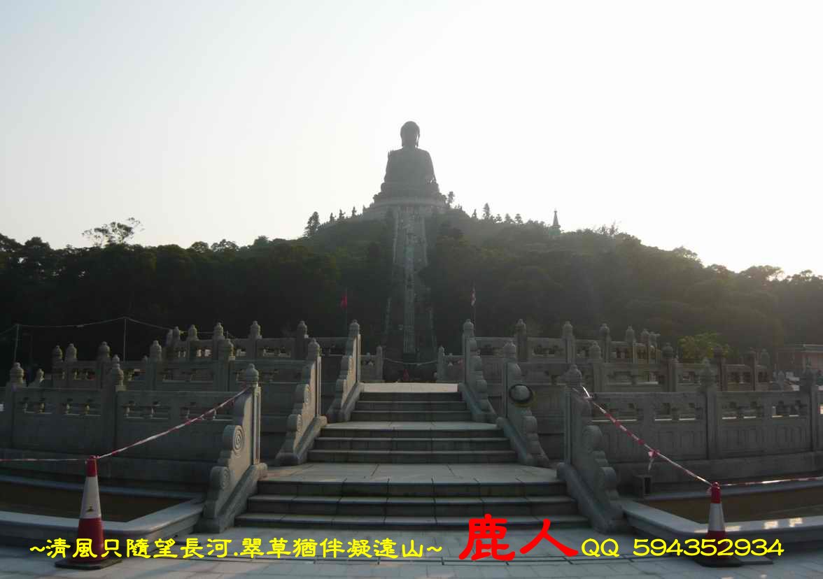 佛向_3.JPG