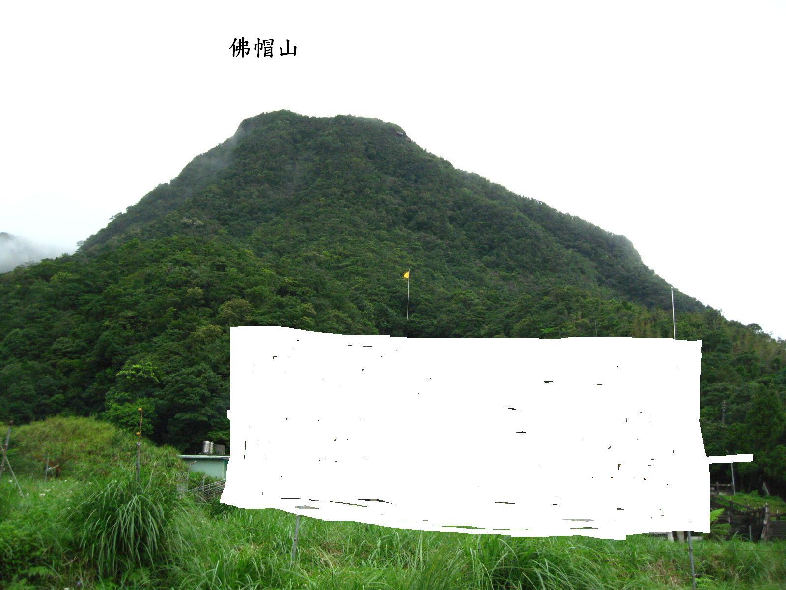 佛冒.JPG