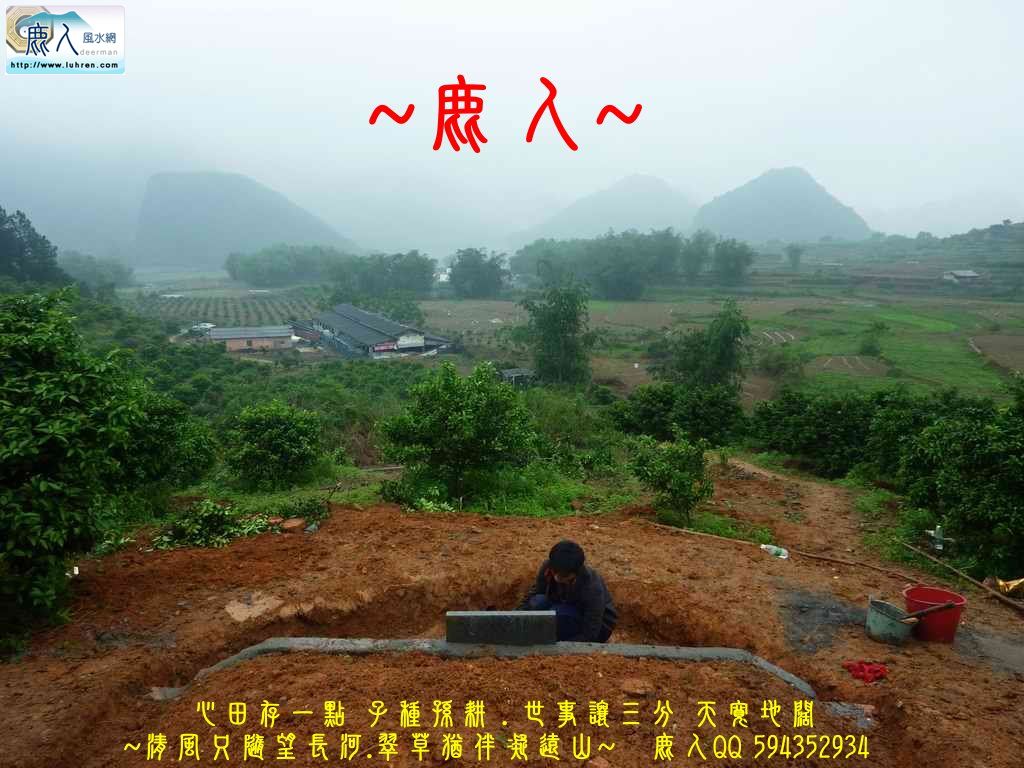 雨中~2.JPG