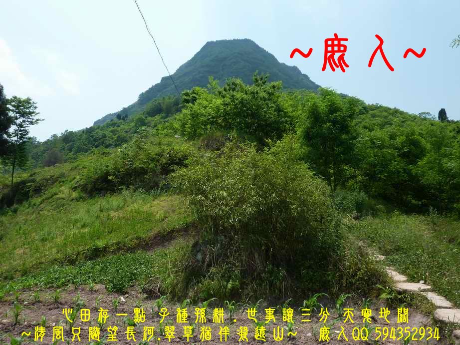 亭土_02.JPG