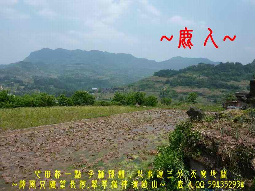 亭土_05.JPG