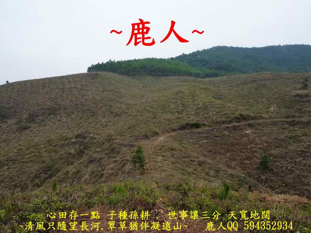 屏下乾坤_04.JPG