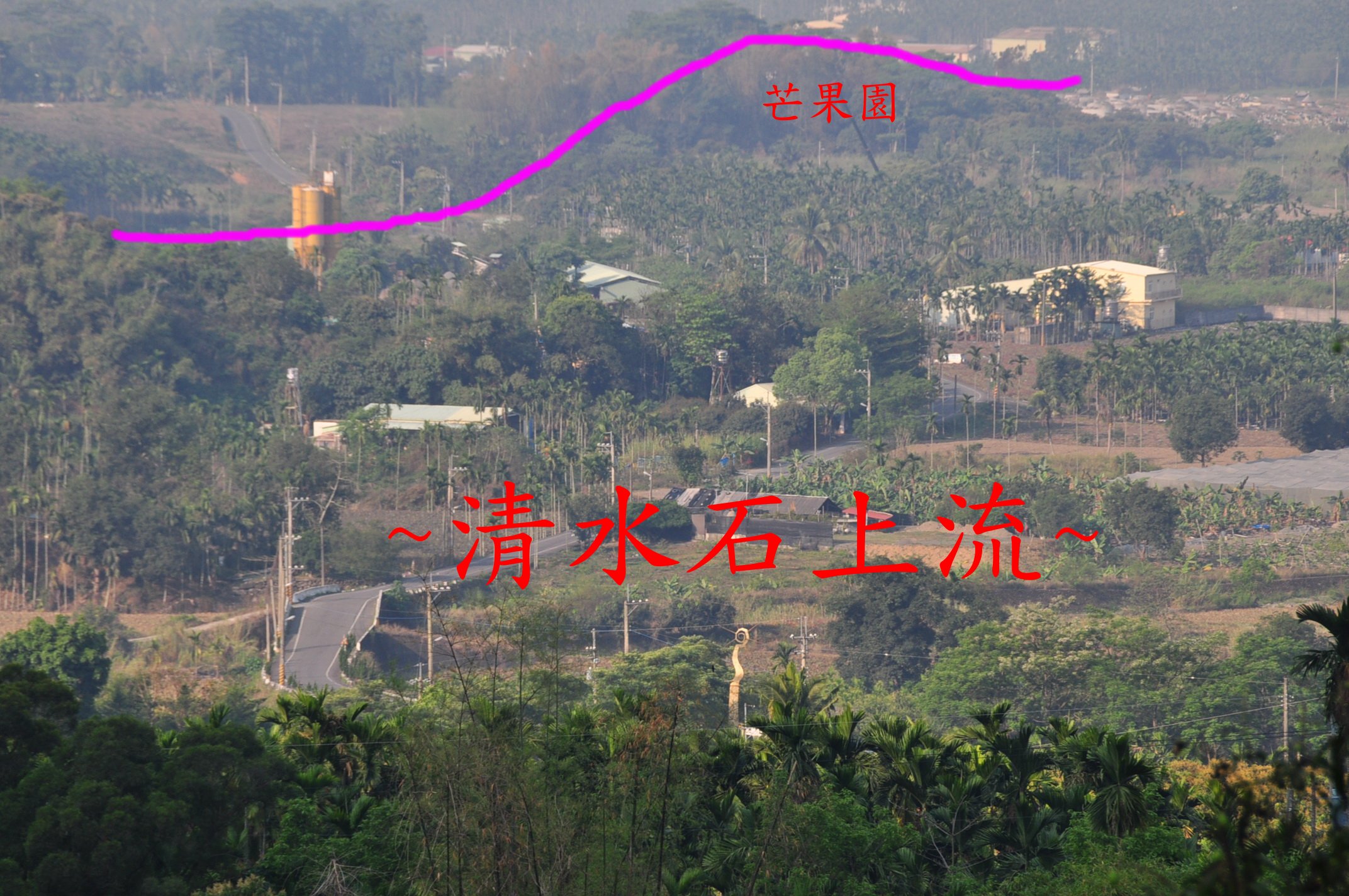 芒果園.jpg
